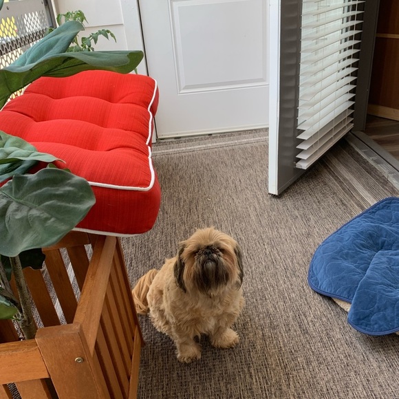 I appreciate you visiting my Closet!! Thank you. - Picture 5 of 5